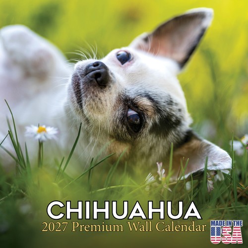 Chihuahua 2027 calendar with - chihuahua,