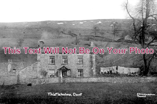11697 thistleholme dent - yo,